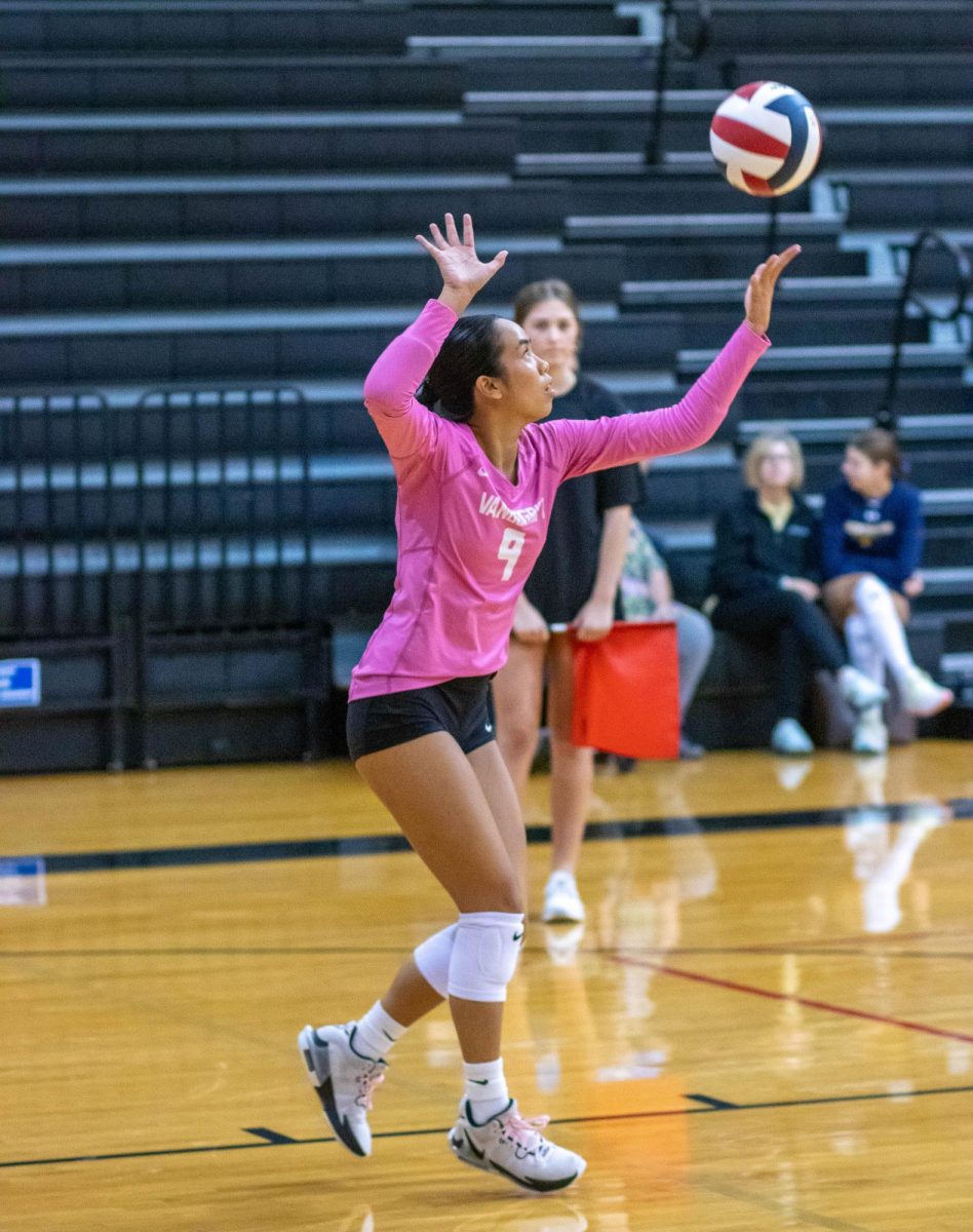 During the first game, senior Jessie Hoang serves against Elkins. The Vipers won 25-6, 25-13.