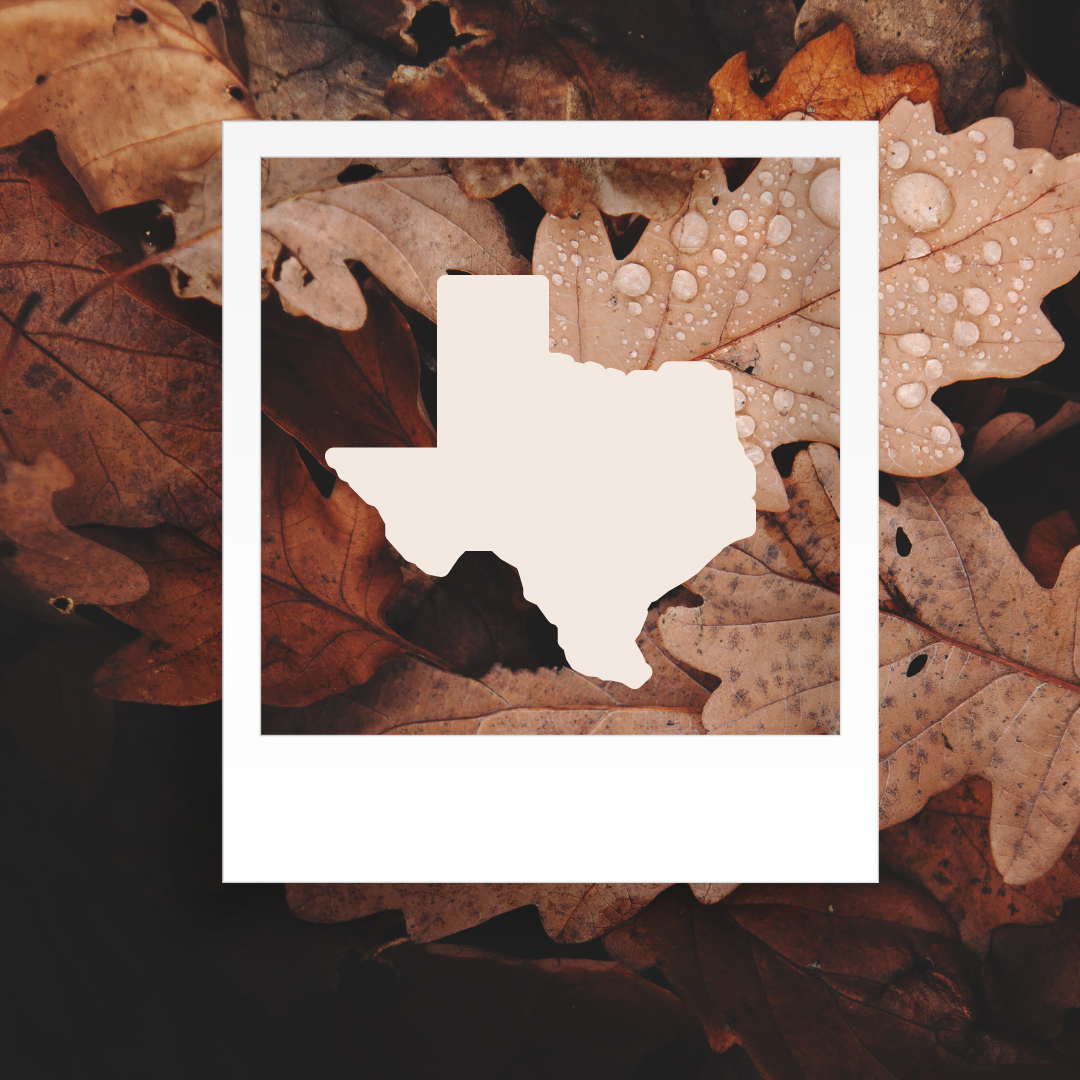 It’s fall y’all: Best things to do this fall in Austin