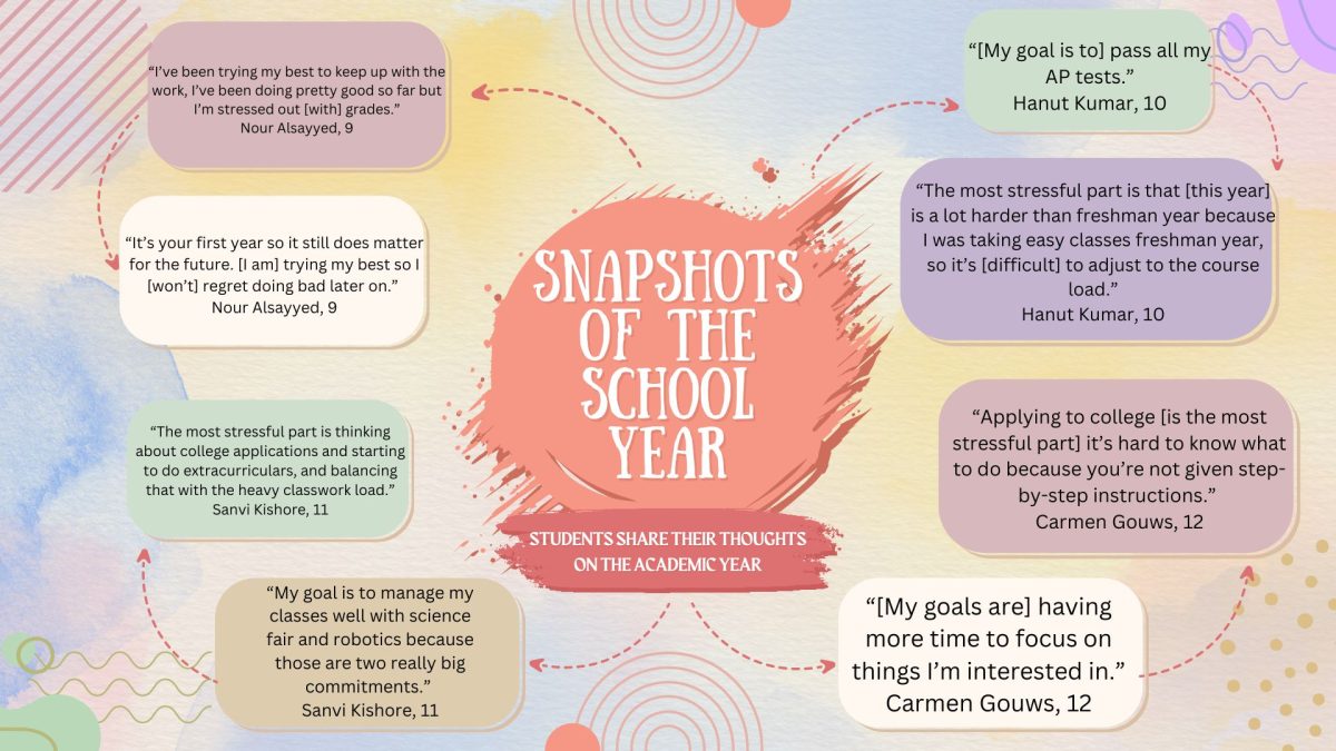 Snapshots of the school year