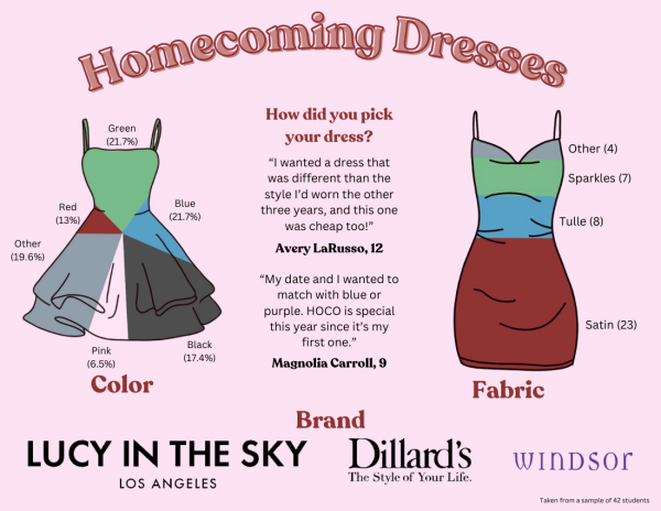 Navigation to Story: Ad’dress’ing hoco: Trending styles and colors