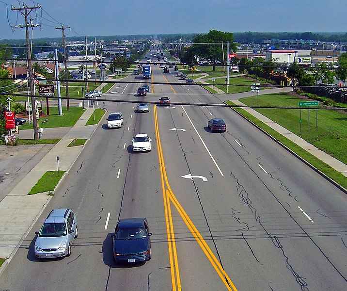 The American "Stroad"

https://commons.wikimedia.org/wiki/Commons:GNU_Free_Documentation_License,_version_1.2 
https://en.wikipedia.org/wiki/File:Transit_Road.jpg
